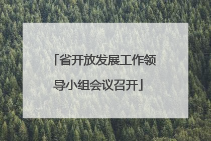 省开放发展工作领导小组会议召开
